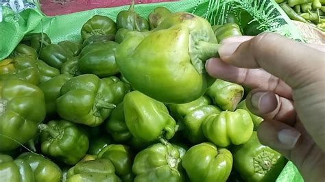 Shimla Mirch A Vegetable Youtube
