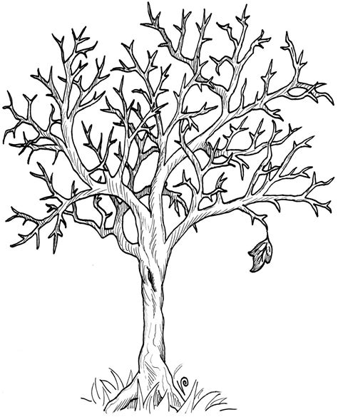 coloring pages winter trees dunanal