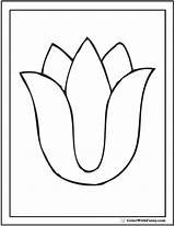 Tulip Printable sketch template