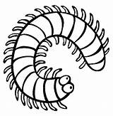 Coloring Centipede Millipede Pages Insect Color Clipart Creepy Crawlers Cartoon Centipedes Colouring Clip Drawing Online Insects Print Kids Millipedes Sheets sketch template