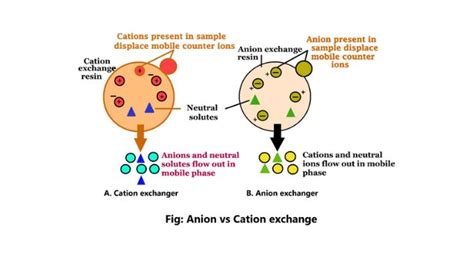 anion exchange  cation exchange chromatography science query