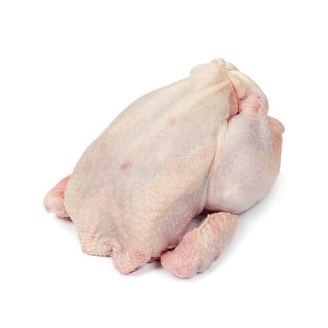 uncooked chicken stock photography image