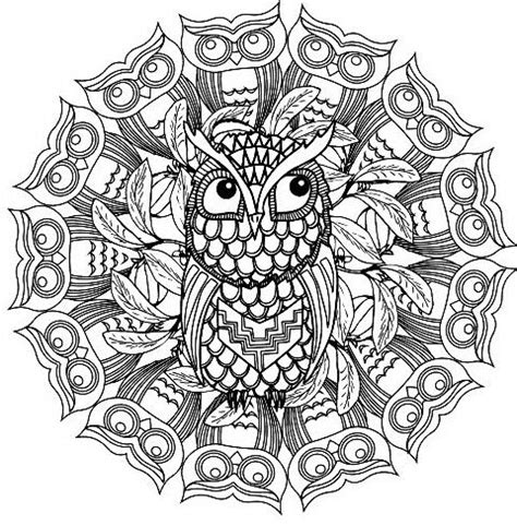 owl colouring page owl coloring pages mandala coloring pages owl