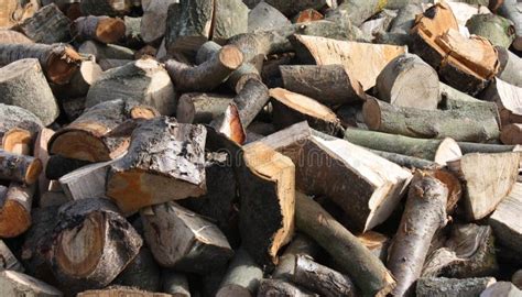 wooden logs stock image image  pile lumber fuel