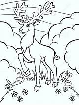 Coloring Pages Deer Pheasant Printable Getcolorings Ones Hope Child Does Children Which These Little Do sketch template