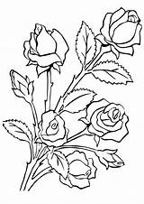 Coloring Rose Pages Roses Five Momjunction Worksheets Flowers Parentune Boyama Kids Mandala Kaynak sketch template