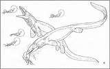 Mosasaurus Mosassauro Dinosaur Desenho Ammonite Nadando Colouring Oceansofkansas Tudodesenhos Hawley sketch template