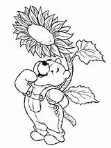 Coloring Pages Disney Spring Pooh Winnie Printable Sheets Print Kids Fall Rose Sunflower Colouring Color Adult Choose Board Rocks Easter sketch template