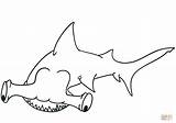 Tegninger Shark Hammerhead Farvelægning Tegne sketch template