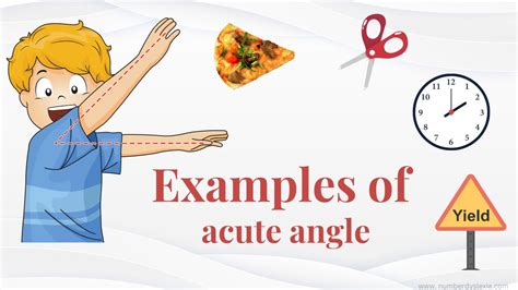 examples  acute angle   daily lives number dyslexia