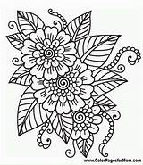 Coloring Pages Flower Printable Flowers Easy Sheets Choose Board Print sketch template