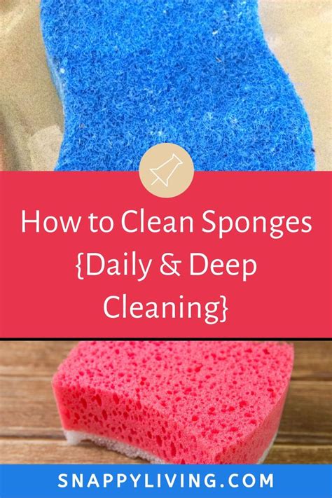 clean sponges daily deep cleaning homemade cleaning