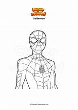 Spiderman Colorare Disegno Pages Supercolored sketch template
