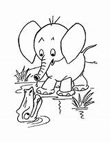 Elephant Coloring Pages Baby Head Printable Color Colouring Cartoon Shower Kids Getcolorings Book Getdrawings Drawing sketch template
