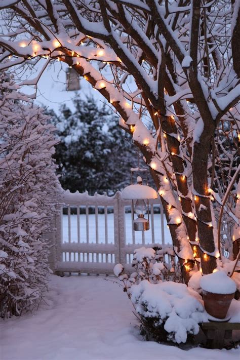 modern country style  top ten christmas gardens