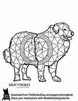 Pyrenees Designlooter Sheepdog Maremma sketch template
