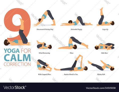 yoga poses overview divyrubqmcqm elaine beamer