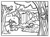 Forest Coloring Pages Animals Background Sheets Drawing Kids Printable Animal Forests Colour Sheet Nature Tree Backgrounds Book Visit Choose Board sketch template