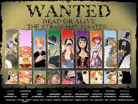 Onepiece Adventures Of The Pirates Onepiece The Story