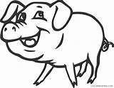 Pig Coloring4free Coloring Pages Outline Printable Smiling Related Posts sketch template