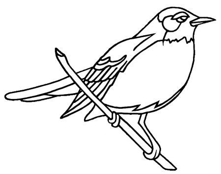 robins coloring pages coloringrocks coloring pages bird coloring