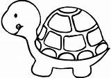 Turtle Coloring Pages Clipartmag Cute sketch template