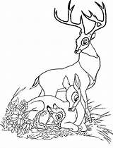 Bambi Mother Malvorlage Asleep sketch template