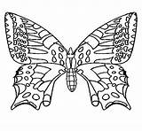 Papallona Farfalla Papillon Dibuixos Colorare Colorir Mariposa Borboleta Dibuix Colorier Disegni Acolore Coloritou sketch template