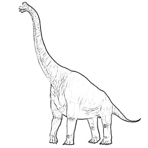 diplodocus standing tall coloring pages netart coloring pages