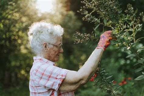 Senior Woman Tending To The Flowers In Her Garden Rehab First