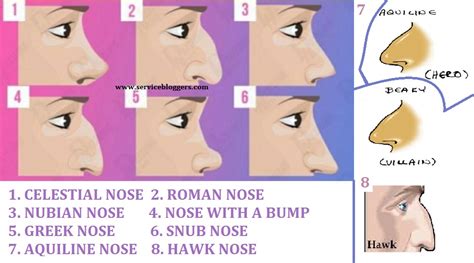learn  beauty  blogging    shape  nose reveals hidden truth