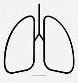 Lungs Lung Coloring Pinclipart sketch template