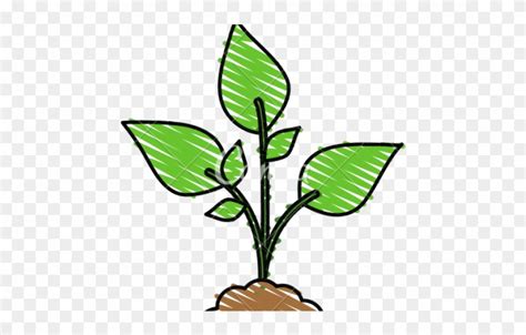 cartoon plant clipart  pinclipart