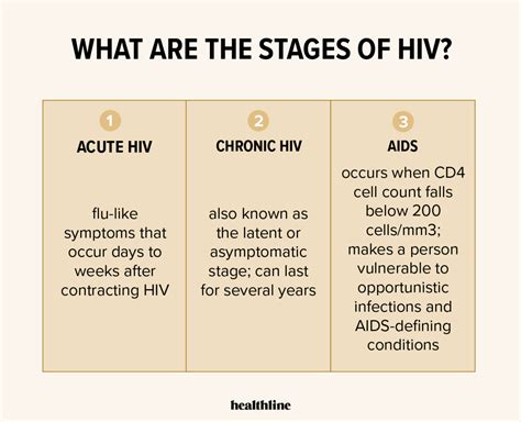 hiv affects  body hiv transmission disease progression