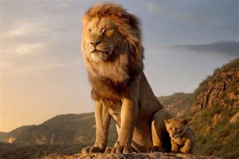 Lion King 2019 Movie Review And Why The Film Has Failed