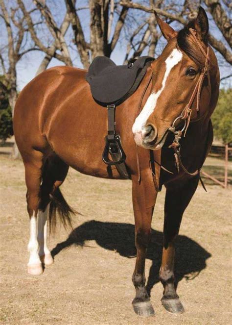 Soft Ride Bareback Western Saddle Pad Mustang Manufacturing Bareback