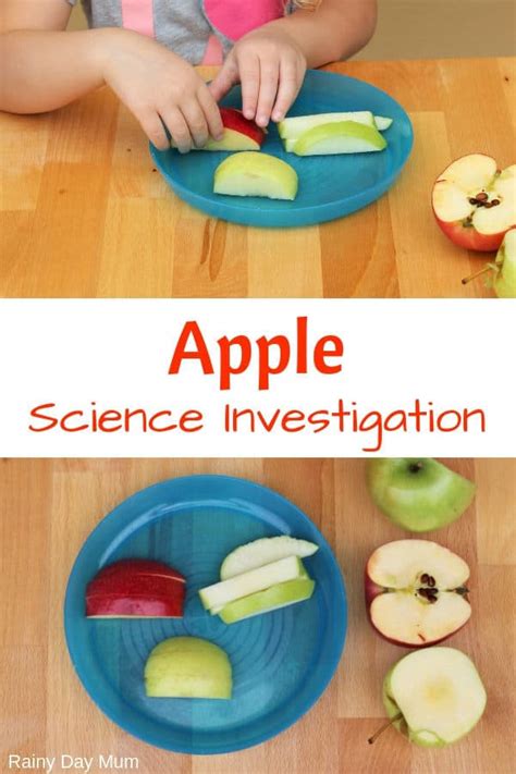 preschool apple science investigation    senses