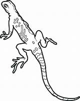 Coloring Lizard Pages Gecko Printable Kids Leopard Coloring4free Monitor Geckos Color Print Getdrawings Getcolorings Lizards Sheets Realistic Drawing sketch template