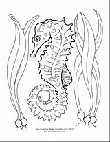Seahorse Coloring Horse Pages Drawing Printable Color Cute Sea Adult Draw Outline Kids Print Google Getdrawings Mermaid Choose Board sketch template