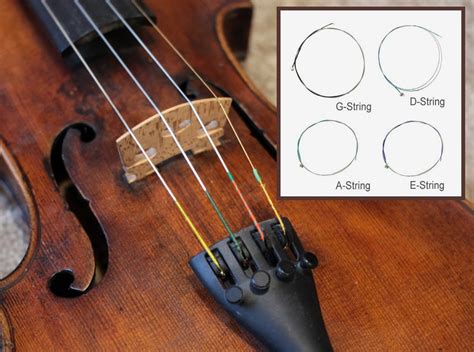 change violin strings  step  step guide  expert advice