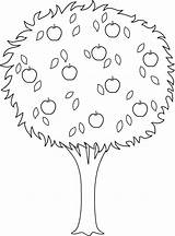 Tree Apple Coloring Clipart Outline Trees Clip Line Colorable Drawing Pages Printable Cliparts Transparent Nature Mars Goat Drawings Library Sweetclipart sketch template