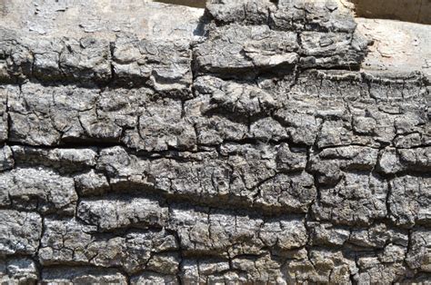 gambar dinding batu batuan dasar geologi singkapan sejarah kuno