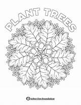 Coloring Pages Pdf Arborday sketch template