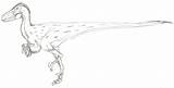 Utahraptor Coloring Dinosaur Template Pages sketch template