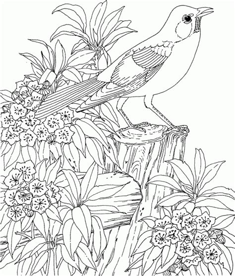 hard coloring pages  adults  coloring pages  kids
