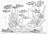 Coloring Fish Tank Pages Netart Complete Aquarium Color Colouring Drawing sketch template
