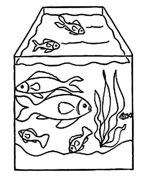 drawing fish tank coloring page netart