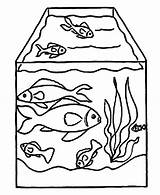 Fish Tank Drawing Coloring Aquarium Nemo Pet Pages Drawings Netart Paintingvalley sketch template