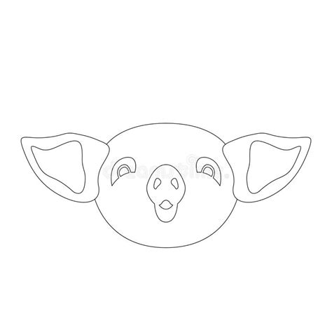 pig face vector illustration coloring book front stock vector