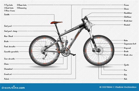 scheme  mountain bike stock vector illustration  shock